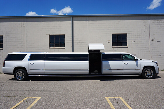 top-notch limousine doors